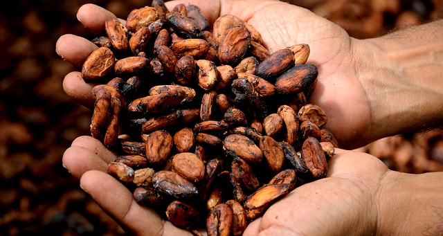 Acuerdo marco entre Nestlé y Ecuador