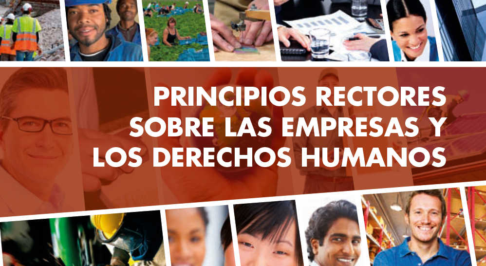 Principios Rectores ONU